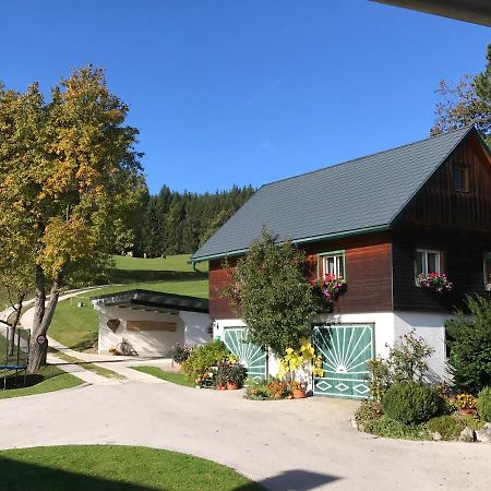 Ferienhaus Zwickelreith 거스텔링안더얍스 외부 사진