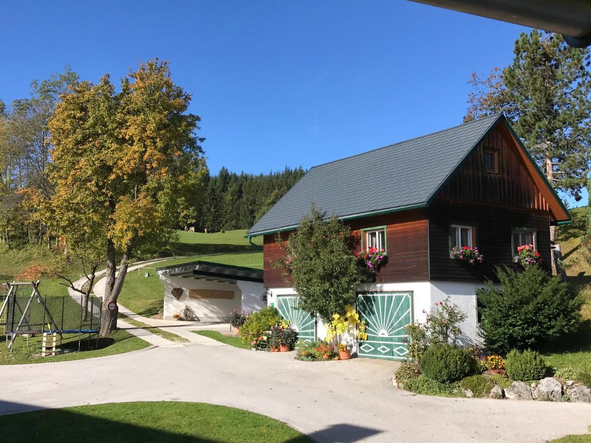 Ferienhaus Zwickelreith 거스텔링안더얍스 외부 사진